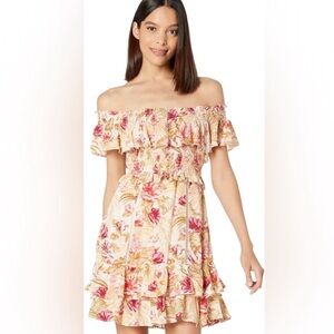 Astr Floral Mini Dress - Pink and Green